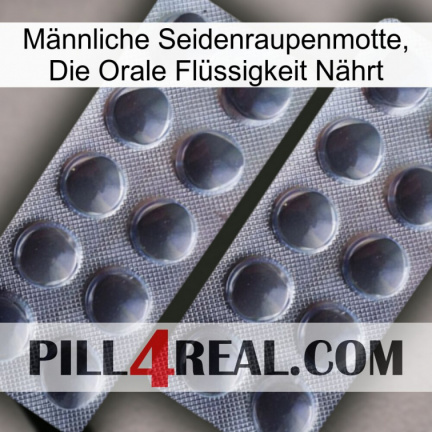 Männliche Seidenraupenmotte, Die Orale Flüssigkeit Nährt 31